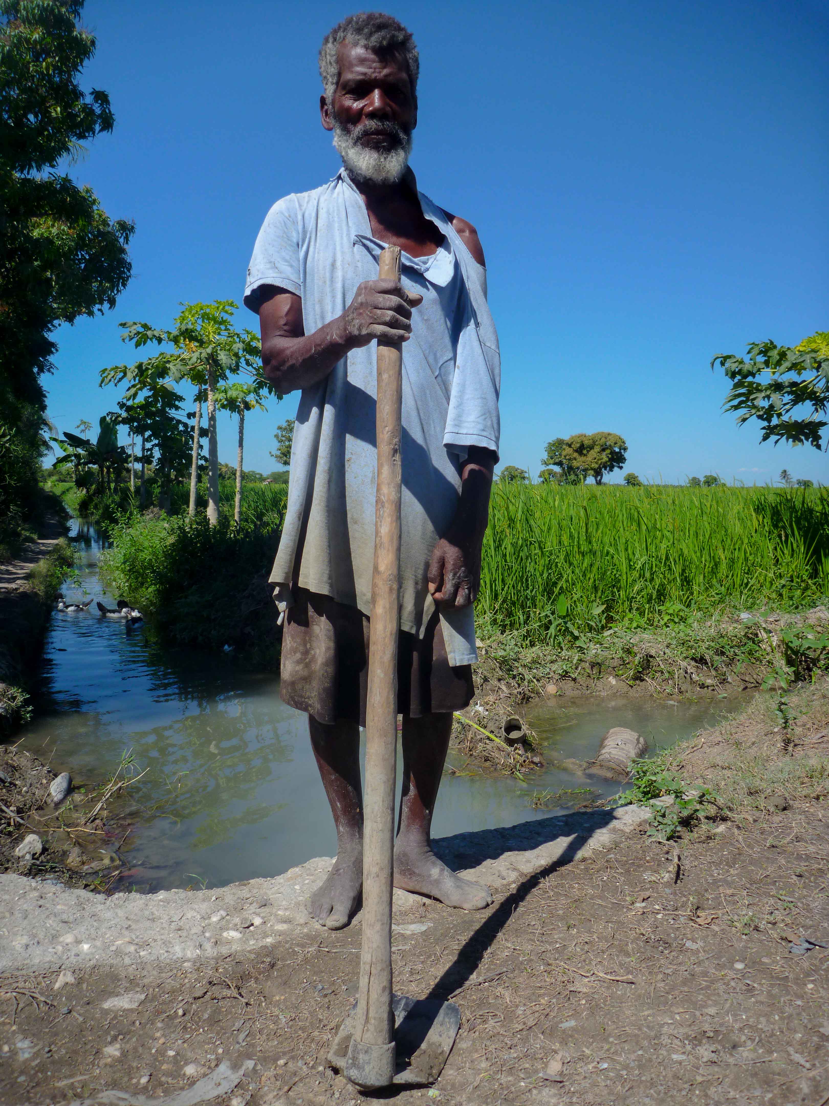 L’esclave noir du riz blanc — Photoreportage 3