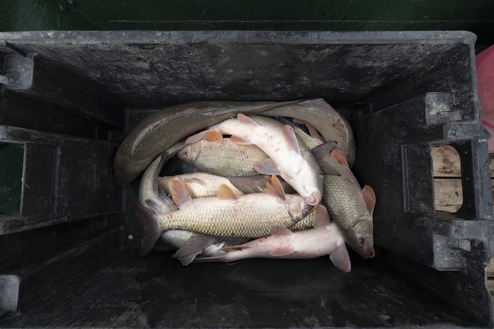 La dernière pêche — Photoreportage 1